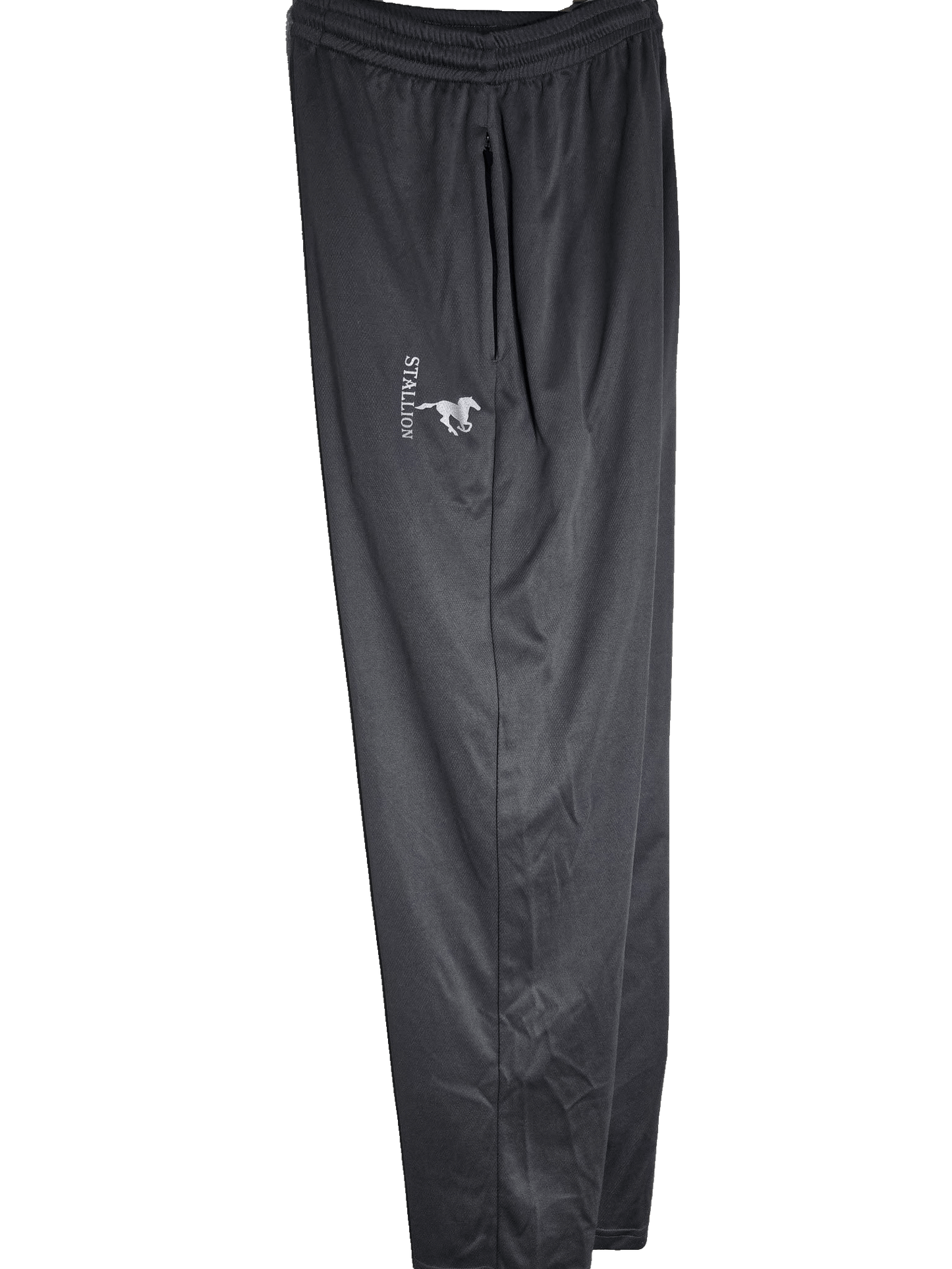 Mesh "Work-Out" Pants Branding the Silver Stallion