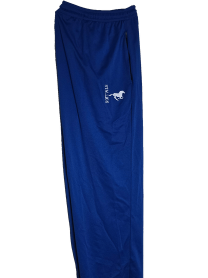 Mesh "Work-Out" Pants Branding the Silver Stallion