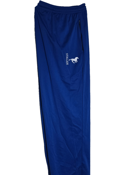 Mesh "Work-Out" Pants Branding the Silver Stallion