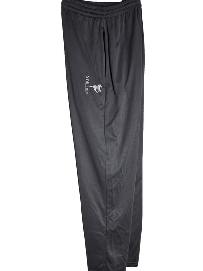 Mesh "Work-Out" Pants Branding the Silver Stallion