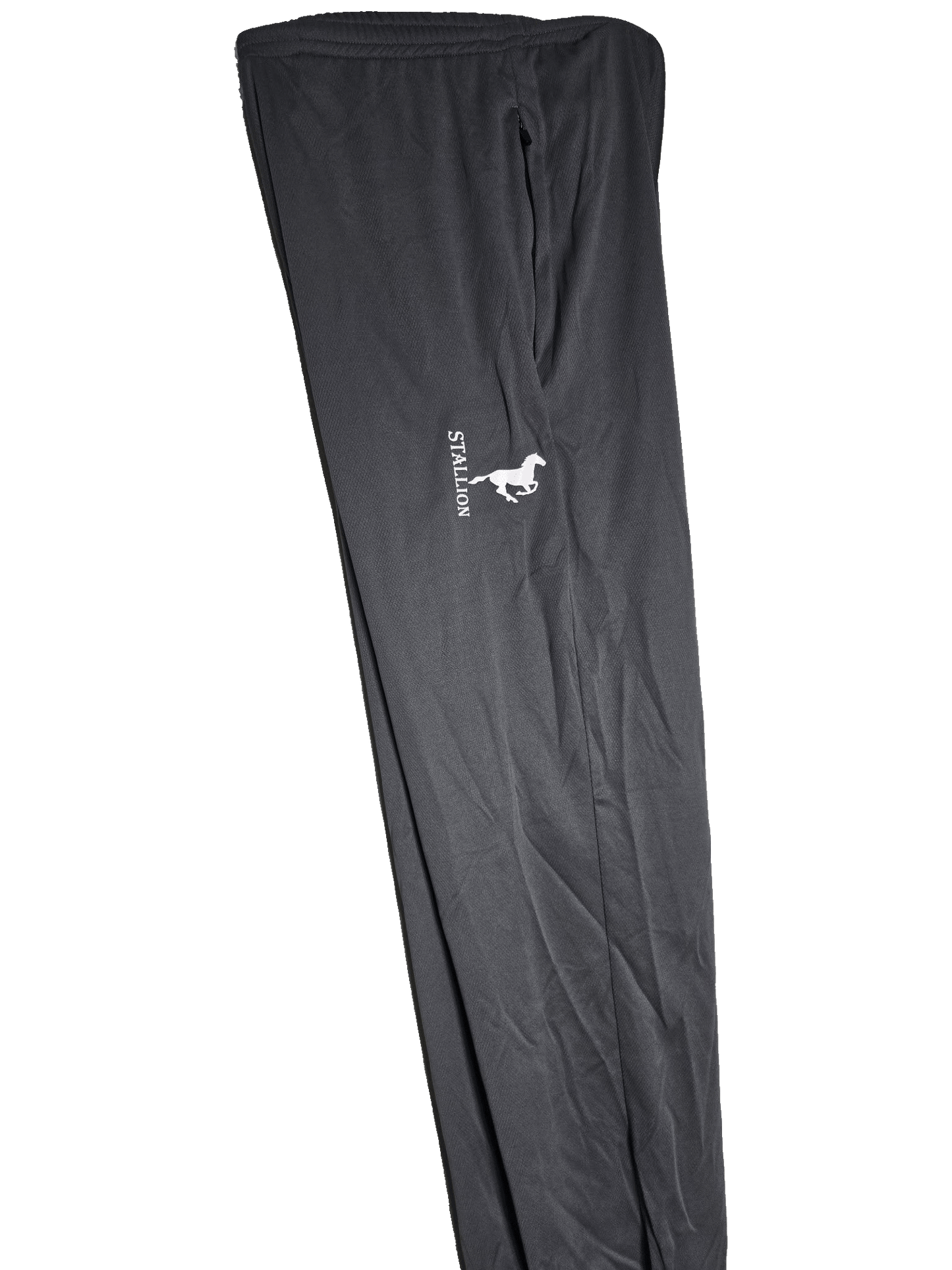 Mesh "Work-Out" Pants Branding the Silver Stallion