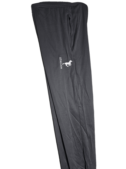 Mesh "Work-Out" Pants Branding the Silver Stallion